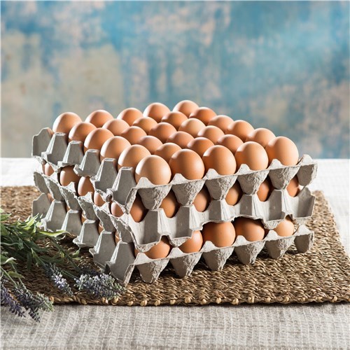 eggs 1